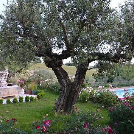 Villa Umbrian On The Enchanting Hills Of Todi! *
