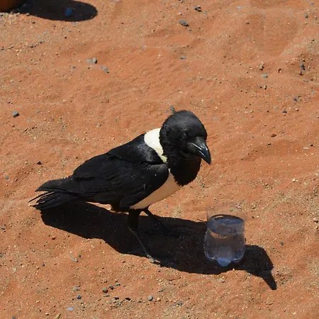 Umbrian On The Enchanting Hills Of Todi! *