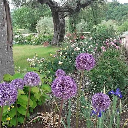 Villa Umbrian On The Enchanting Hills Of Todi! *