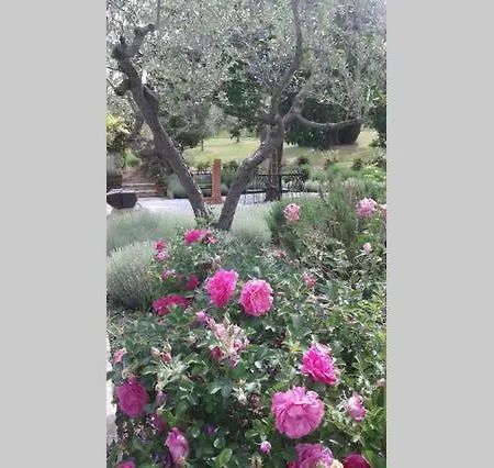 Villa Umbrian On The Enchanting Hills Of Todi!