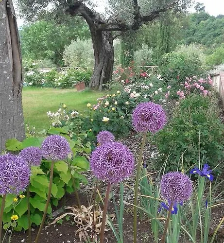 ヴィラ Umbrian On The Enchanting Hills Of Todi! *