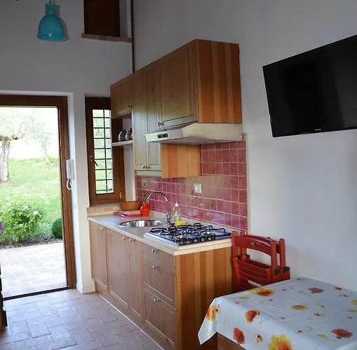 Umbrian On The Enchanting Hills Of Todi! ヴィラ マッサ・マルターナ